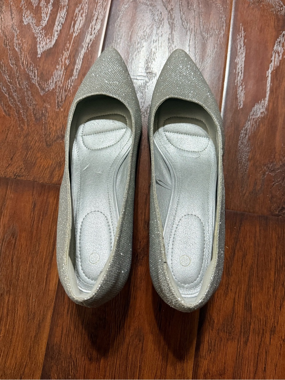 Women's Sparkle Pointed Toe Heels in Silver